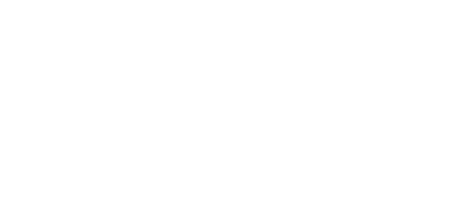 start section main image