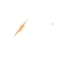 effect